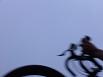 images/avatars/avatar-3772.jpg